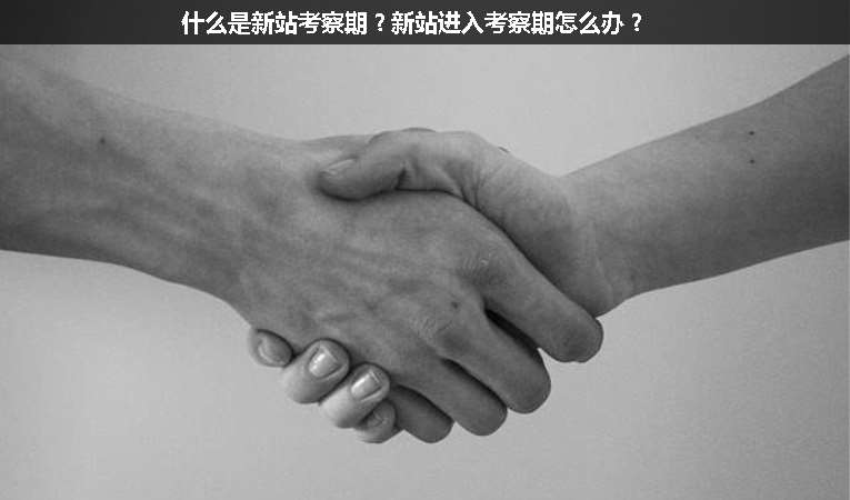 什么是新站考察期？新站進(jìn)入考察期怎么辦？