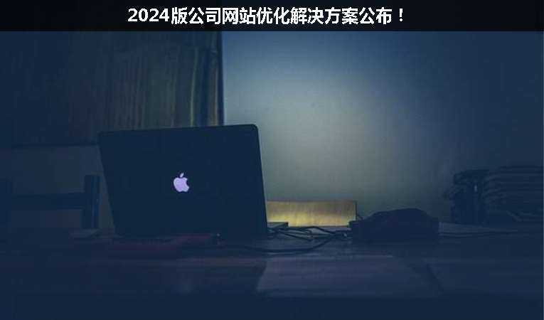 2024版公司網(wǎng)站優(yōu)化解決方案公布！