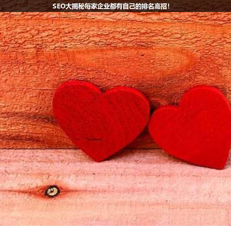 SEO大揭秘每家企業(yè)都有自己的排名高招!